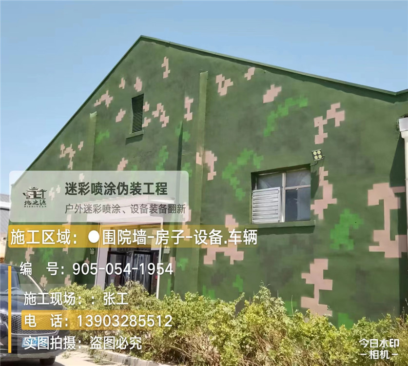 揭阳外墙数码迷彩漆施工报价清单(100㎡标准墙面测算)