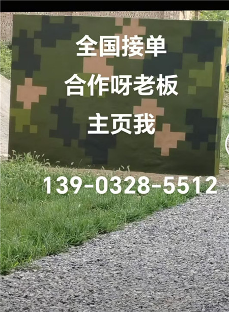 揭阳专业迷彩漆施工：围墙防护数码漆